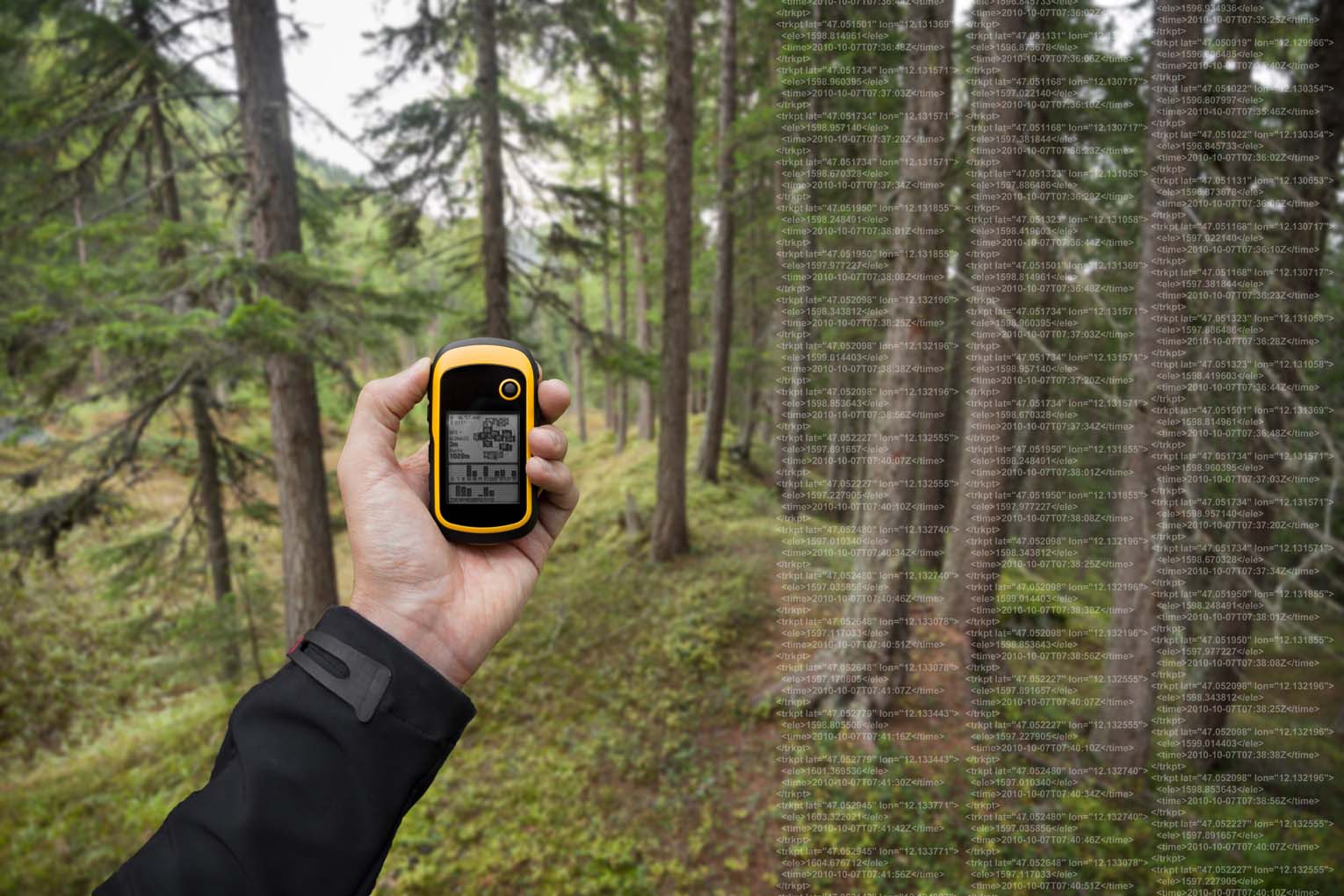 AHRNTAL, ITALY - SEPTEMBER 22, 2014: A trekker is finding the right position in the forest via gps in a cloudy autumnal day